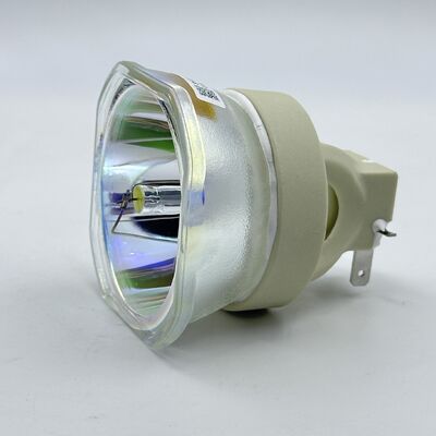 Shusen Brand Projector Bulb SHE245W E21.3 | Compatible with Epson ELPLP71, ELPLP74, ELPLP75, ELPLP79, and ELPLP80 Projector Bulbs